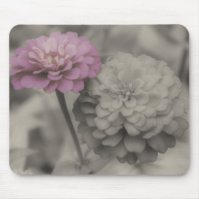 Flores Da Zinnia Fecham O Mousepad Preto E Branco (Frente)