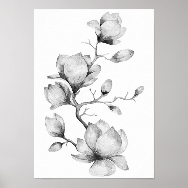 Flores de aquarelas brancas e pretas poster (Frente)