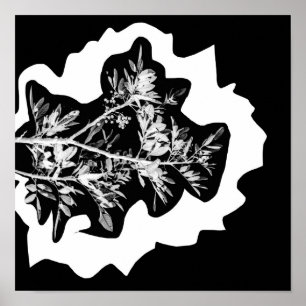 Flores de Árvore-Pepper Deixam Poster natural