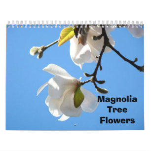 Flores de Árvores Magnolia Calendários de Fotograf
