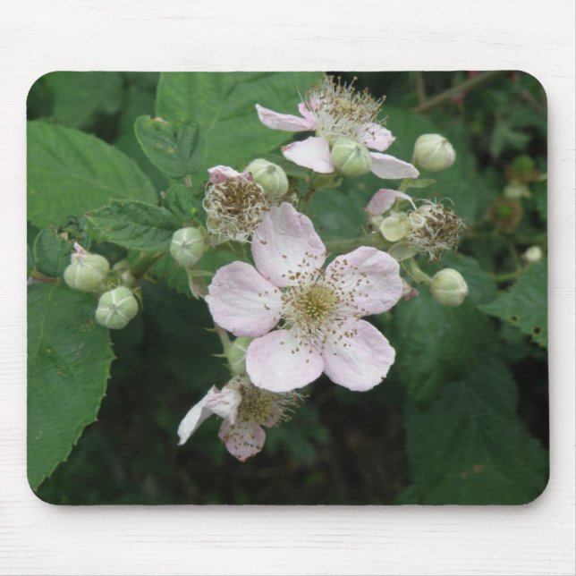 Flores de Blackberry Mousepad (Frente)
