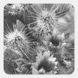 Flores de Cactus com Autocolantes Decaleiros Perso