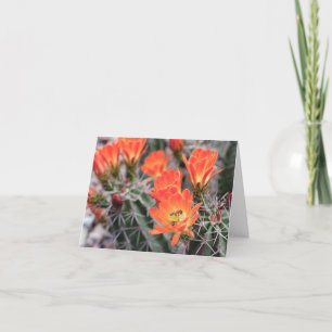 Flores de Cactus e Abelhas   Cartão de Nota de Fl