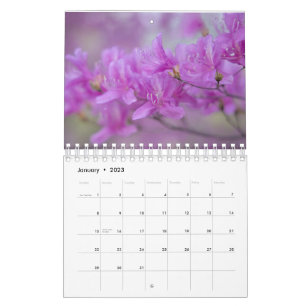 Flores de calendário