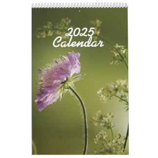 Flores de Calendário 2025 arquivadas