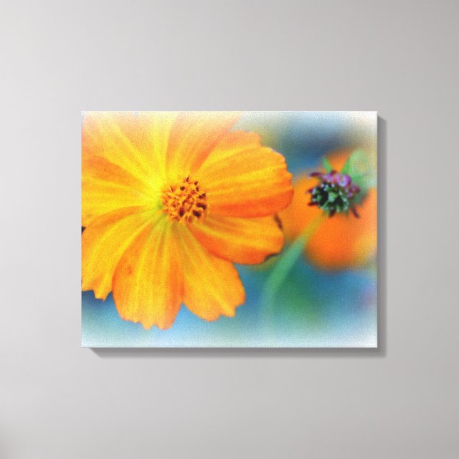 Flores de Canvas Premium (Gloss) (Frente)