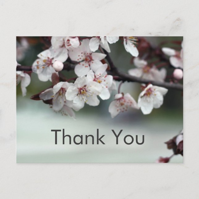 Flores de cartões de agradecimentos (Frente)