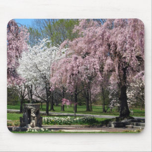 Flores de cerejeira em Philadelphfia Mousepad
