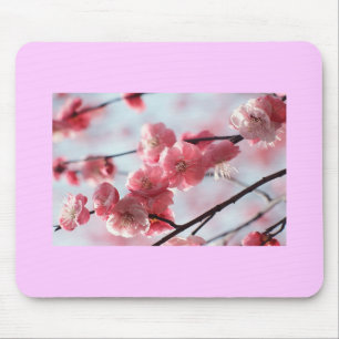 Flores de cerejeira Mousepad