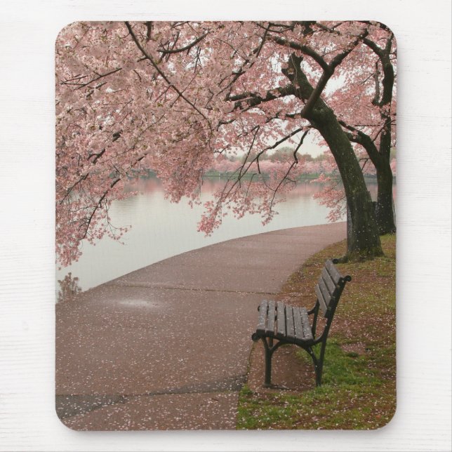 Flores de cerejeira Mousepad (Frente)