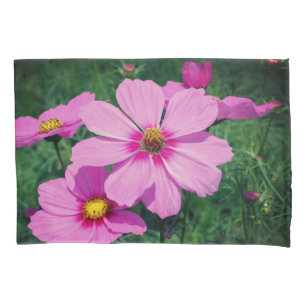 Flores de Cosmos Rosa