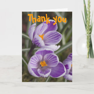 Flores de crocus roxas ... Cartão de agradecimento