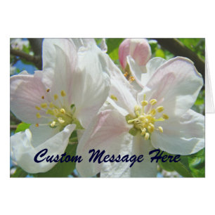 Flores de Flores de Maçã Cartões Personalizados Fl