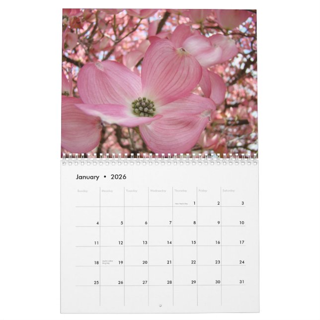 Flores de FLORESCÊNCIA dos presentes do calendário (Jan 2026)