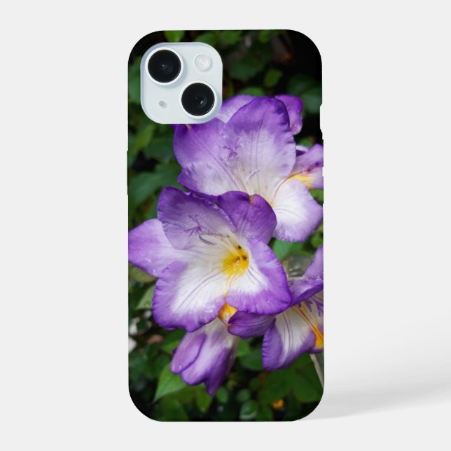 Flores de Freesia Roxa (Verso)