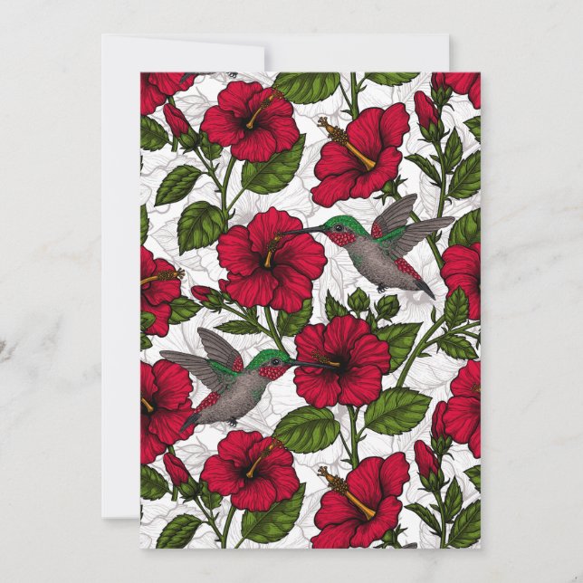 Flores de hibisco e beija-flores (Frente)