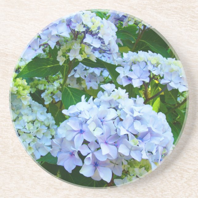 Flores de Hortênsia Azul porta-copos de arenito (Frente)