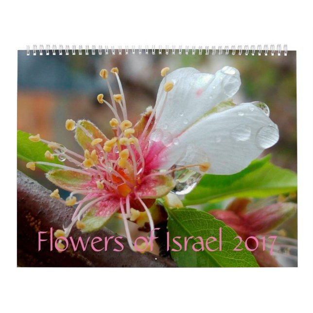 Flores de Israel: Calendário 2017 (Capa)