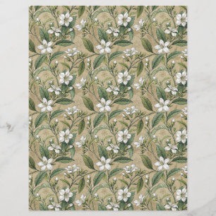 Flores de jasmim papel scrapbook botânico bege