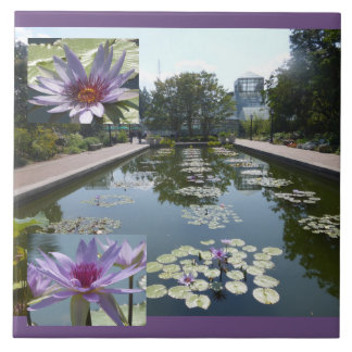 Flores de Lótus Roxo em Azulejo de Cerâmica do Lag