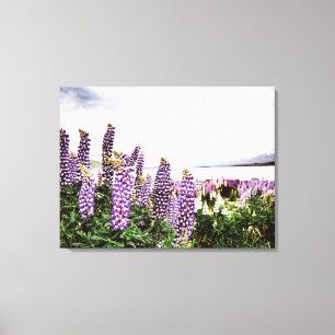 Flores De Lupins Roxos: Canvas da Nova Zelândia