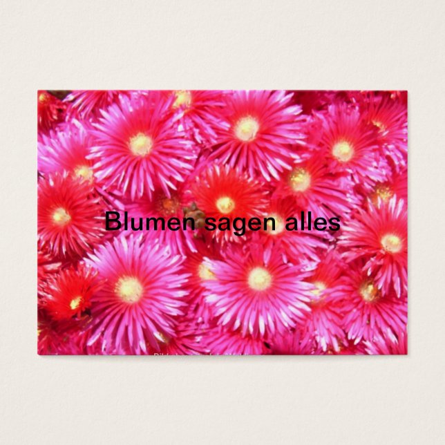 Flores de meio-dia (Frente)