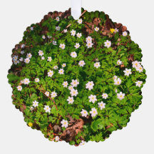 Flores De Mola De Madeira Branca