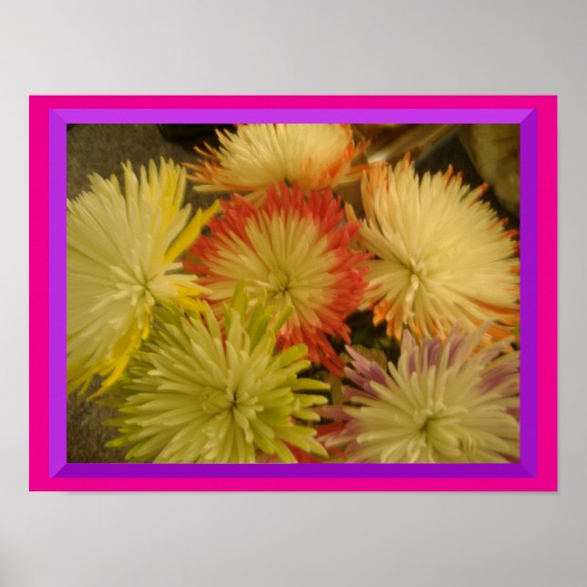Flores de muitas cores Poster (Frente)