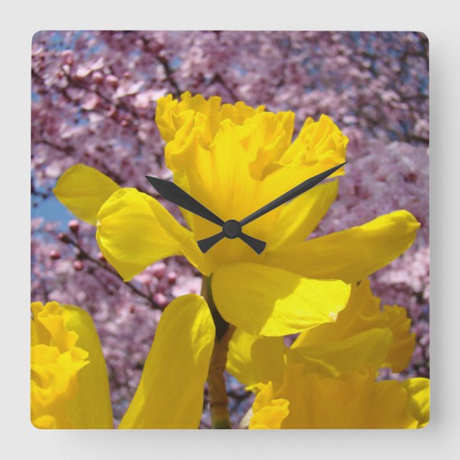 Flores de Narciso Amarelo Relógios de Parede Botõe (Frente)