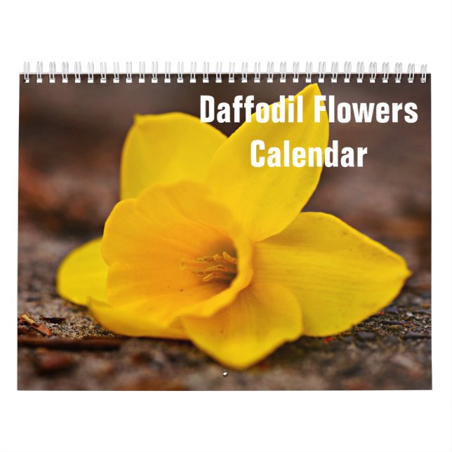 Flores de Narciso Calendário 2027 (Capa)