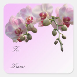 flores de orquídea rosa, etiquetas de embrulho de