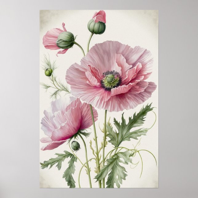 Flores de Papoula Rosa Arte Impressa Poster (Frente)