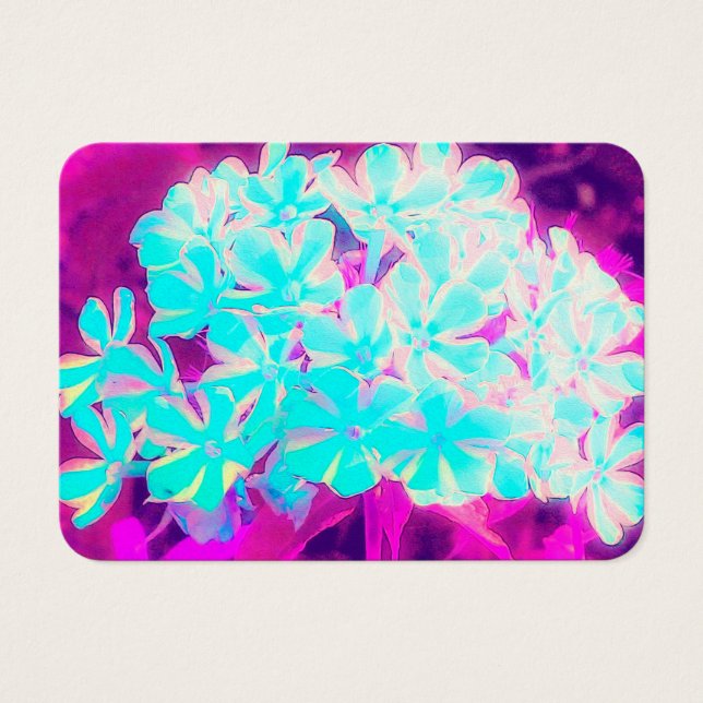 Flores de Phlox Azuis-Peppermint Twist de Robin (Frente)