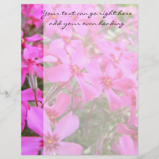 Flores de Phlox Rosa Letterhead