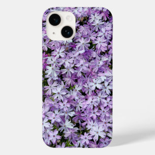 Flores de Phlox Roxas