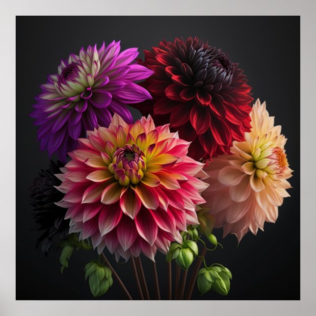Flores de poster Dahlia (Frente)