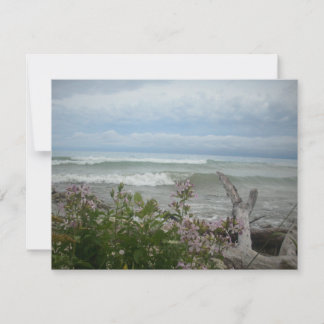 Flores de Praia