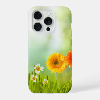 Flores de Primavera