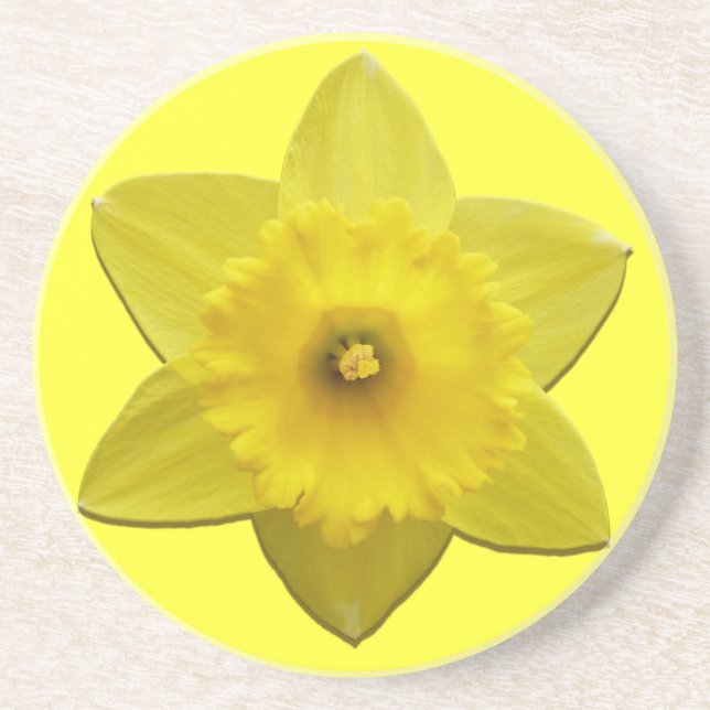 Flores de primavera Porta copos Flores Daffoldil P (Frente)