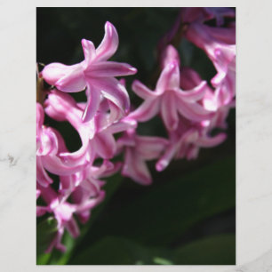 Flores de primavera rosa-brancas