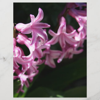 Flores de primavera rosa-brancas