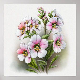 Flores de Primrose Rosa Arte Impressão Poster