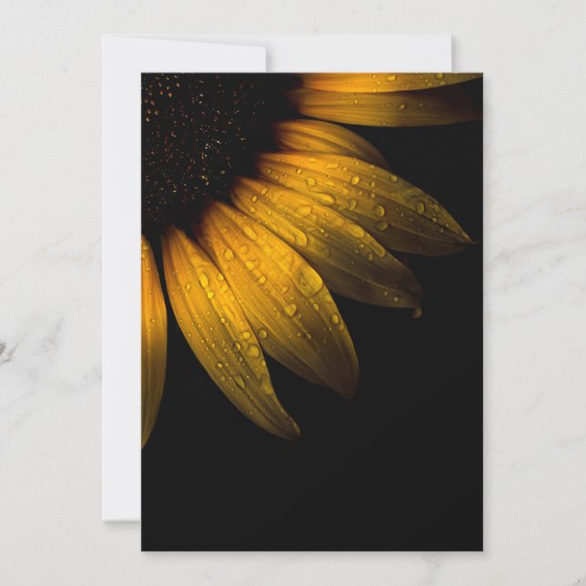 Flores de quintal 28 Girassol (Frente)