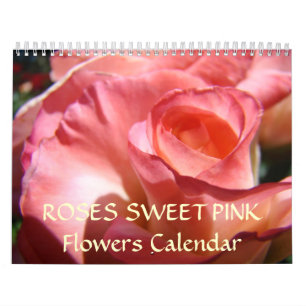 FLORES DE ROSE DE PINK DO Calendário DE ROSAS DOCE