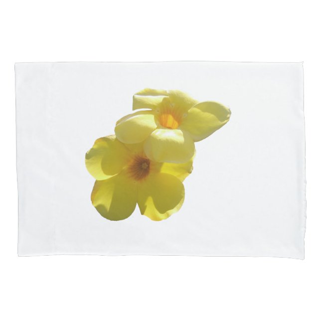 Flores de Trompetes do ouro I (Frente)