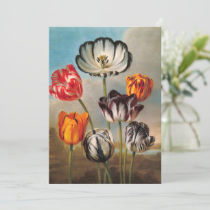 Flores de Tulipa Variegada Antiga em uma Paisagem