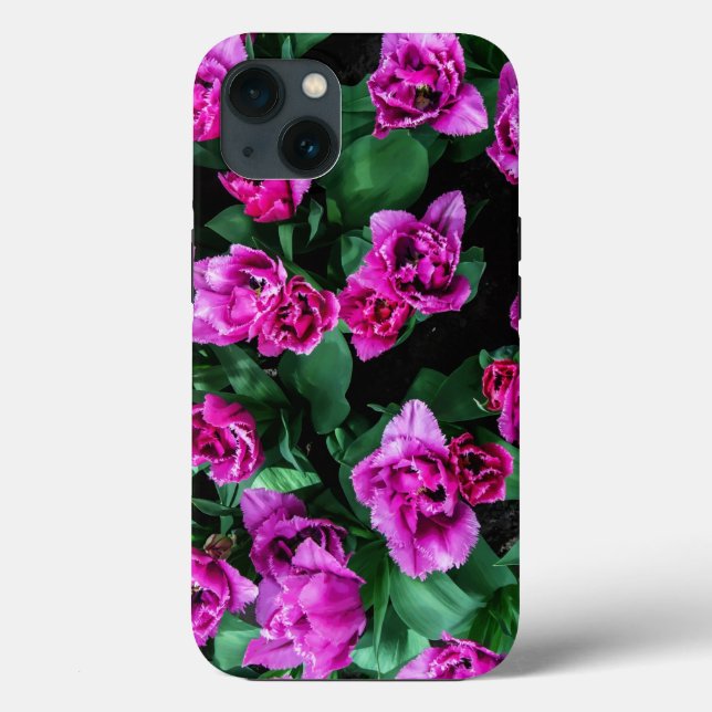 Flores de tulipas rosa (Verso)
