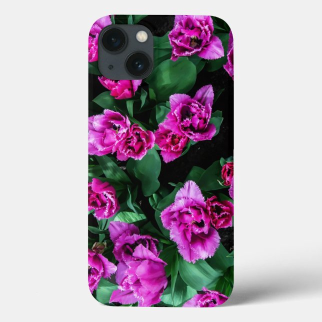 Flores de tulipas rosa (Verso)