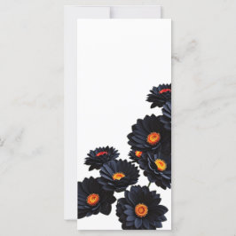 Flores de veludo pretas