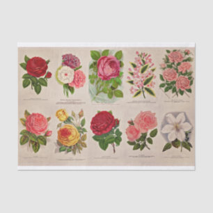 Flores de Vintage para papel de Decoupage ou Colag